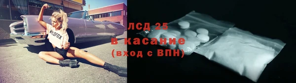 ПСИЛОЦИБИНОВЫЕ ГРИБЫ Корсаков