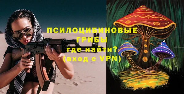 ПСИЛОЦИБИНОВЫЕ ГРИБЫ Корсаков