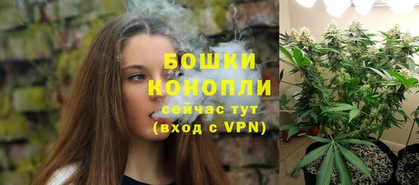 ПСИЛОЦИБИНОВЫЕ ГРИБЫ Корсаков