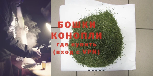 ПСИЛОЦИБИНОВЫЕ ГРИБЫ Корсаков