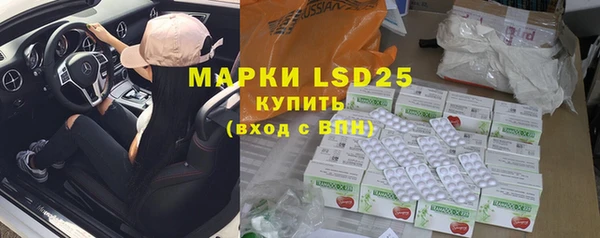 ПСИЛОЦИБИНОВЫЕ ГРИБЫ Корсаков